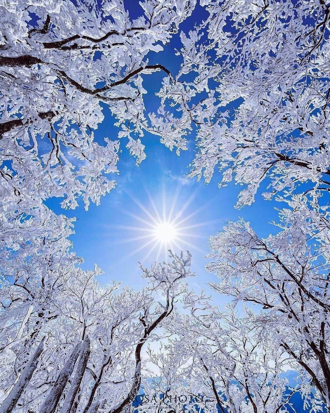 Canon Photographyさんのインスタグラム写真 - (Canon PhotographyInstagram)「Stunning winter scenes 🥶 Photography // @kosa_photo Curated by @steffeneisenacher  #winter #winterwonderland #sunstar #hoarfrost #japan」1月21日 7時19分 - cpcollectives