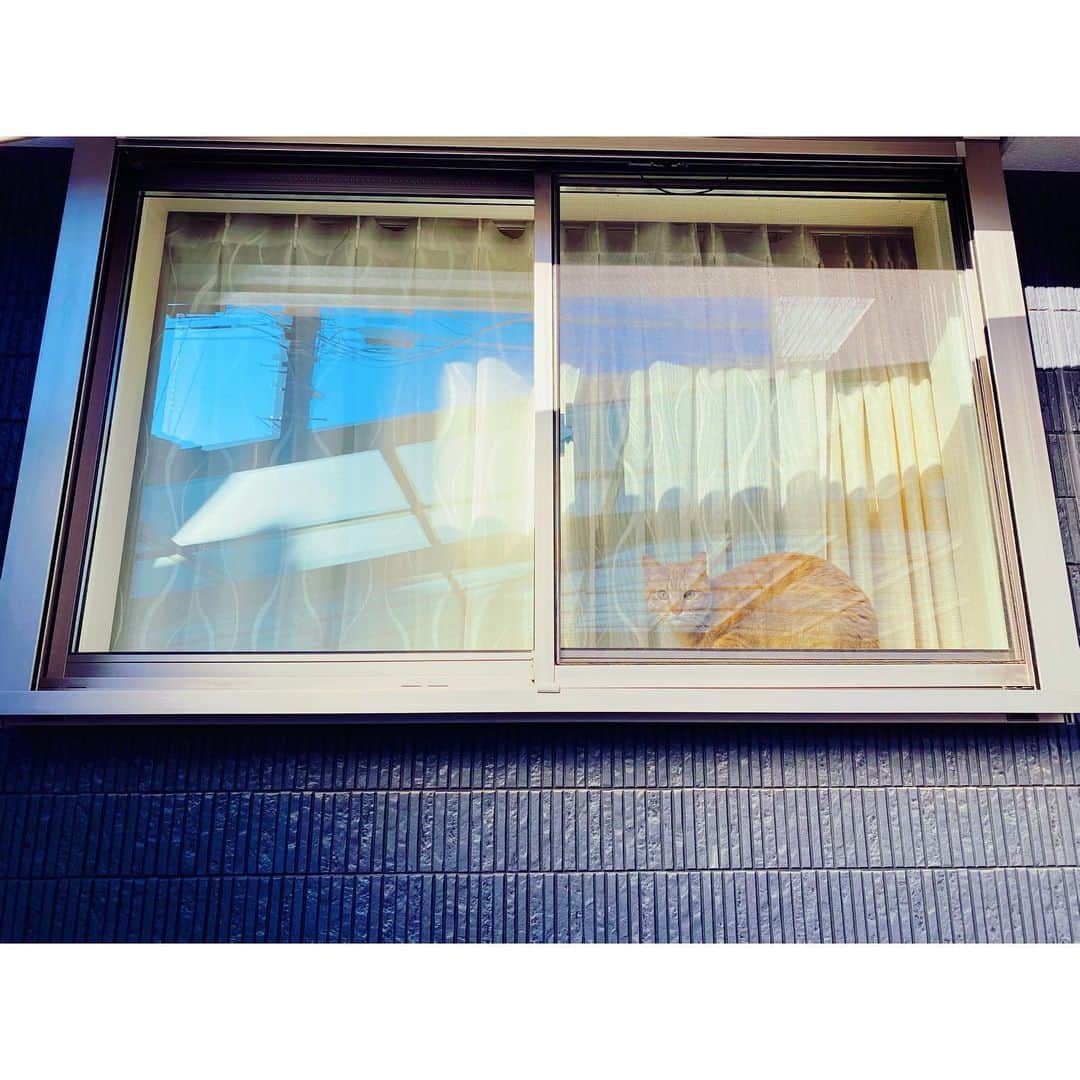 kainatsuさんのインスタグラム写真 - (kainatsuInstagram)「Have a good day ☀︎  #oto_no_koto」1月21日 7時29分 - natsugram_life