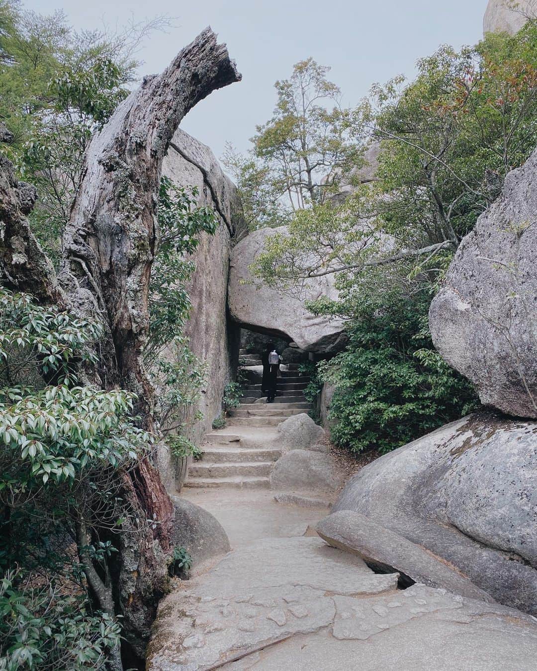 ima_ju / Jun Iのインスタグラム：「: : Elevation 535m Point : : ::」