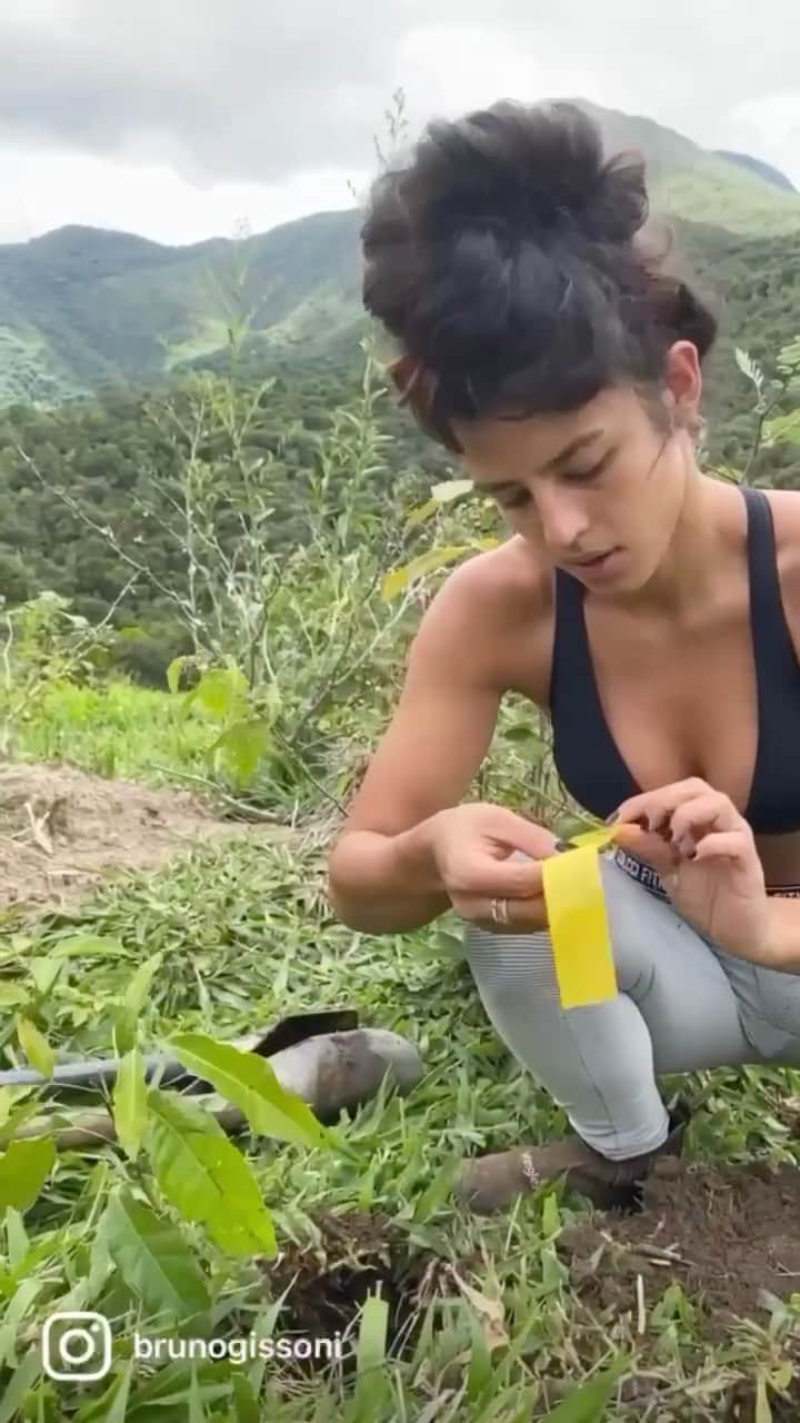 Yanna Lavigne 稲垣アンのインスタグラム：「Sonho compartilhado é sonho celebrado infinitamente! A pandemia teve suas facetas e nos proporcionou colocar a mão na massa e tornar tudo que a gente acredita em meta possível. Com trabalho, com nossas próprias mãos. Até aqui são quase 500 mudas 💚 Essa jornada só está começando, além de uma árvore, plante consciência, baseados no amor, não retornaremos mais ao que já fomos um dia. Que a floresta viva. VIVA 🌱」