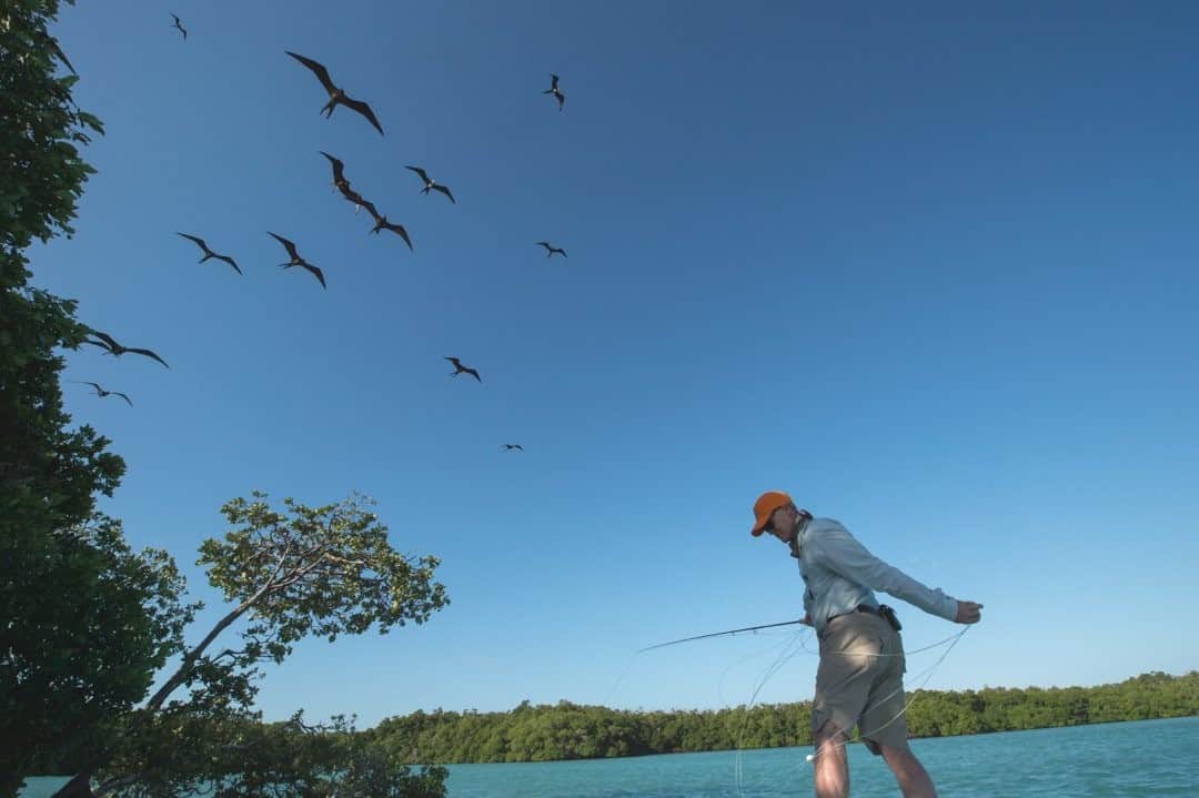 National Geographic Travelさんのインスタグラム写真 - (National Geographic TravelInstagram)「Photo by @steven_gnam / Magnificent frigate birds, with a wingspan of up to eight feet (two meters), glide above a fisherman in Yucatán. #flyfish」1月21日 8時35分 - natgeotravel