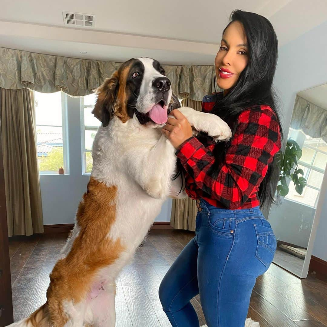 ニーナ・メルセデスさんのインスタグラム写真 - (ニーナ・メルセデスInstagram)「Anyone remember the baby St. Bernard I brought home 6 months ago? That’s him on the left!! 🤯 He’s mama baby of course where I am, you’ll find him. He’s over 100lbs now and the most loving puppy. We decided to buy a female Athena on the right she’s a giant too lol. She 4.5 months and she weighs 60lbs already.  I didn’t realize how much I needed a dog until I finally got a dog. ❤️  Do you have pets? What kind of dog do you have and how old if you do have one?  Are you looking for longer thicker healthier hair? Check out my ultimate hair growth program it contains hair vitamins, shampoo, conditioner, and growth serum. Get results in just 30 days!! Link in my bio! Apothecarybymariza.com」1月21日 8時59分 - lifewithmariza