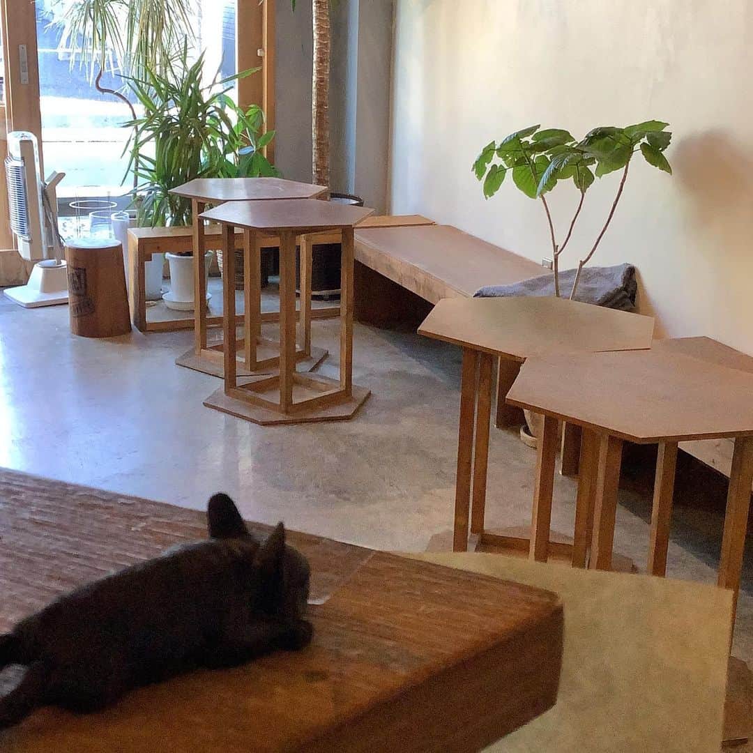 HeyCoffeeのグルメインスタ