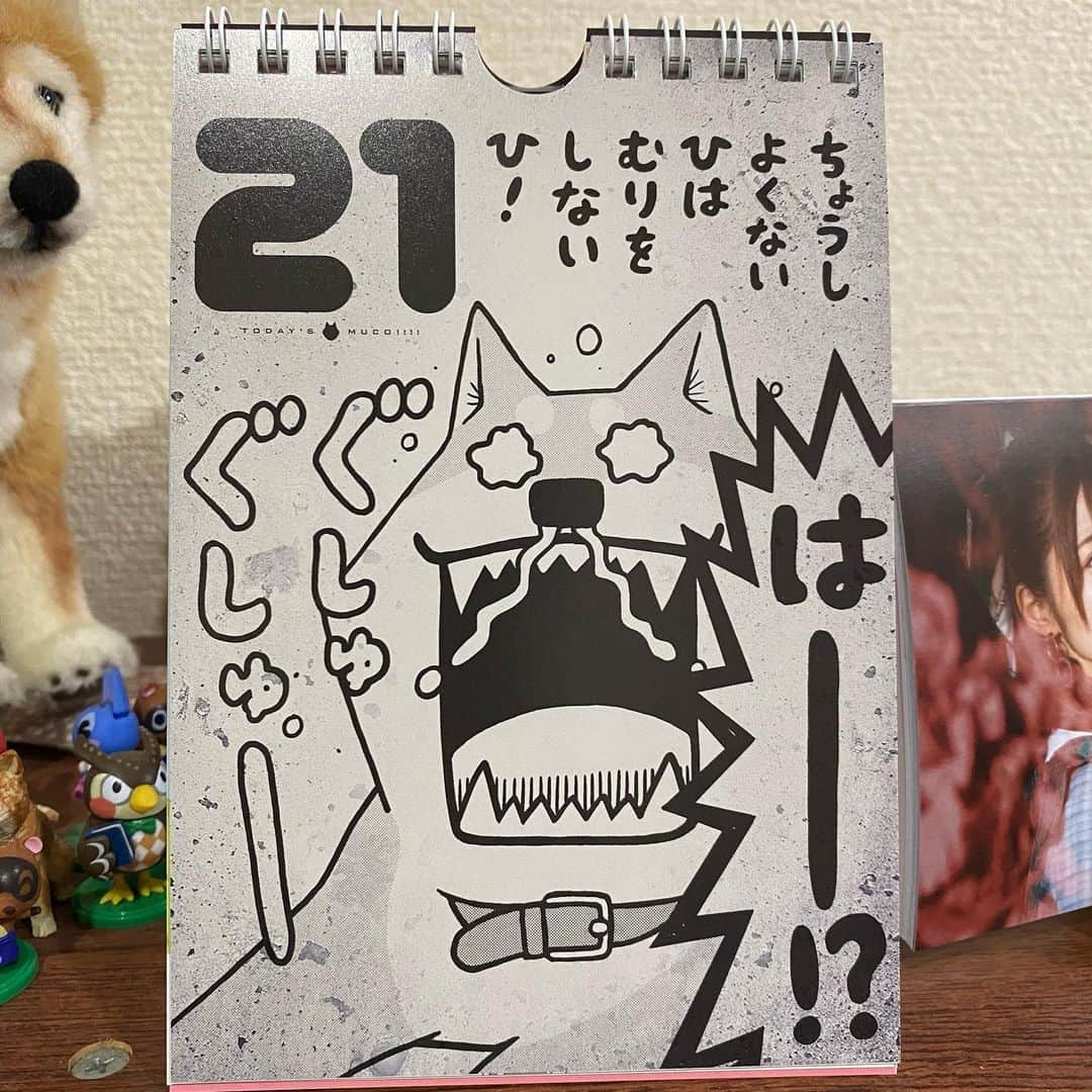 のインスタグラム：「今日も肝に命じていきまっしょい」