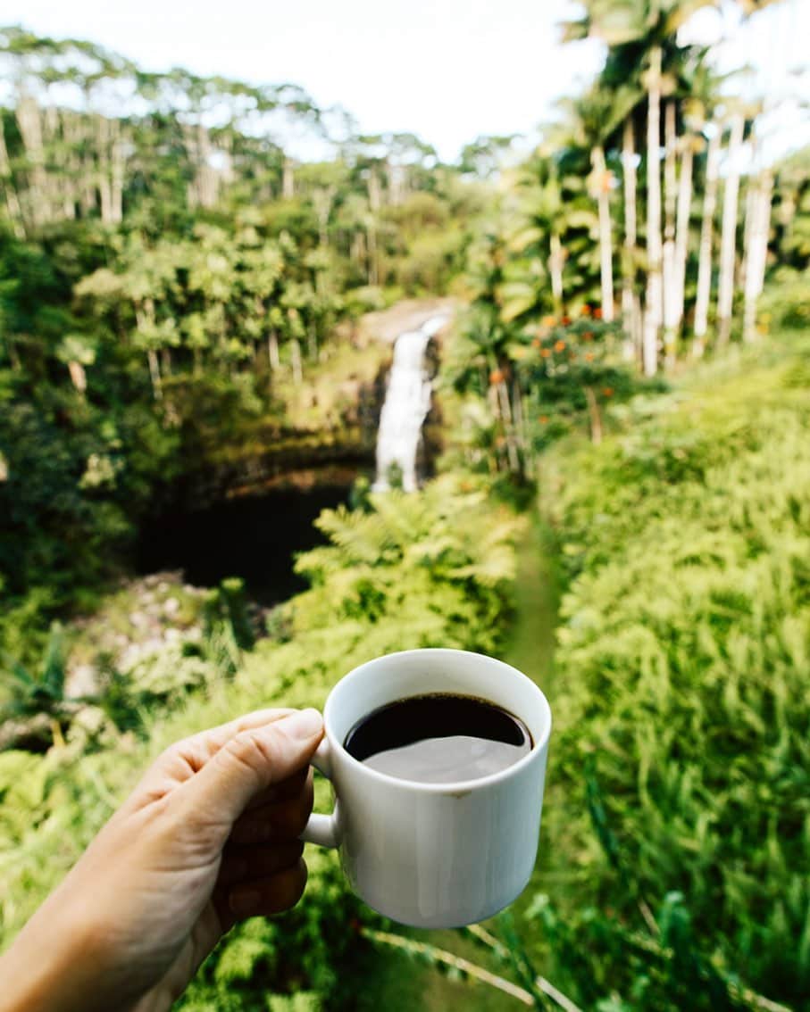 Instagenic Hawaiiさんのインスタグラム写真 - (Instagenic HawaiiInstagram)「皆さま, Aloha✨  皆さまは朝のルーティンはございますか？  私はコーヒーを飲むことが毎朝のルーティンになっています☕️☀️  緑いっぱいの自然の中で飲むコーヒーはもっと美味しいはずです🌿  世界中で多くの方が飲まれているコーヒーの世界3大コーヒーは皆さま何かご存じですか？🤔  キリマンジャロ、ブルーマウンテン、そして３つ目はハワイ島名産のコナコーヒーなんです👏🏽  コナコーヒーのルーツに実は日系移民と深い関わりがあるんです！  もっと詳しく知りたい方はぜひハワイ観光局ポータルウェブサイト”allhawaii”に足を運んでみてください🌺 https://allhawaii.jp/article/4426/  それでは今日も素敵な1日をお過ごしください☀️  #ハワイ州観光局 #ハワイ #ハワイ生活 #ハワイライフ #ハワイ旅行 #ハワイ州 #コナコーヒー #ハワイ島 #コナ #コーヒー #自然 #hawaii #coffee #nature」1月21日 10時39分 - gohawaii_jp