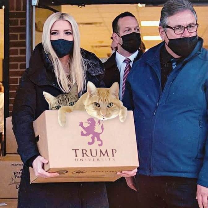 Garyのインスタグラム：「You knew these fucking grifters were going to steal everything that wasn't nailed down #Istanka Swipe for more. Incomparable chopping by @mrlatke」