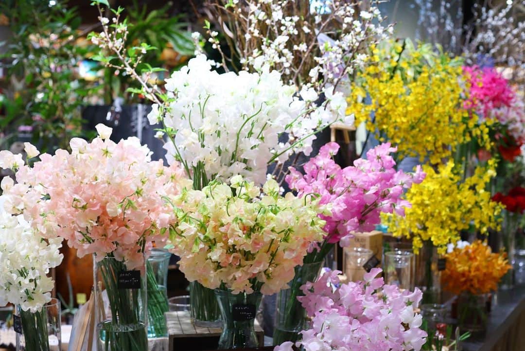 Lect レクトさんのインスタグラム写真 Lect レクトinstagram 1月21日はスイートピーの日 柔らかい色彩 マスク越しに甘い香りもしてとても癒されます Lect レクト Undeuxplants アンドゥープランツ スイートピー 花と暮らす 花のある暮らし