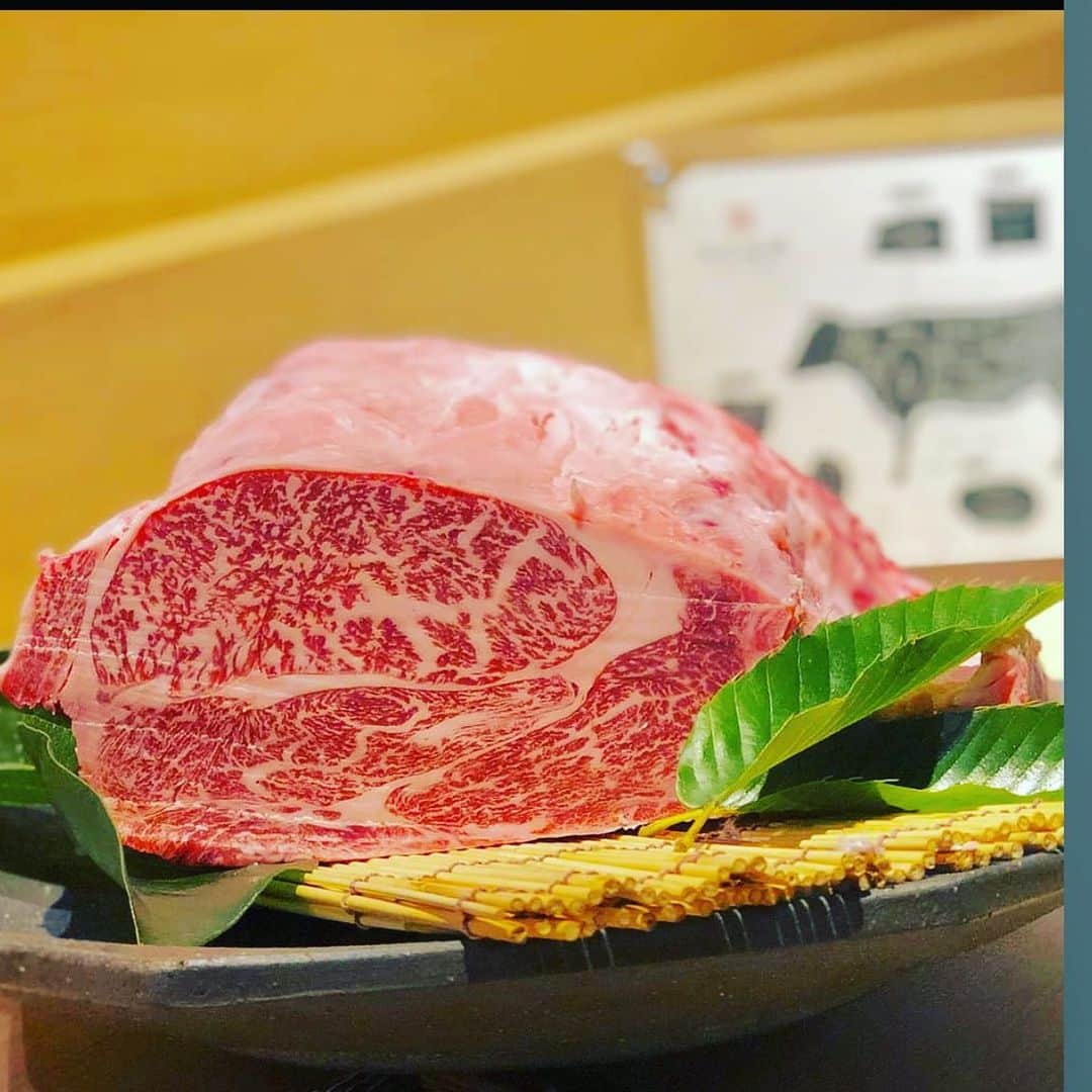 のインスタグラム：「おはよう御座います。 吟難波店でございます。  騎乗する際に用いる鞍（くら）の下に 当たる部位を指し、 特に肩ロースの中でも、 最も美しいサシが入っている。 とろけるような食感と コクのある味わいを楽しめます  17日〜限定イベント 16時〜17時までのネット予約 一休限定百合コース10000円(税別) 何と30%off今だけ  緊急事態宣言のため Open　16時00分 close  20時00分 アルコールラスト　19時00分 コースラスト　18時00分  またお昼のご要望や テイクアウトなども 承っております。 何なりとお申し付け下さいませ。  ※菫コース以上 プレモル、角ハイ、酎ハイ All100円 16時〜18時までの ネットご予約のみ！  〒542-0076 大阪府大阪市中央区難波1-8-16 NAMBA HIPS 10F TEL 06-6214-1131 17:00〜20:00 (緊急事態宣言の為)  成人の為だけのイベント 更なる吟からお年玉 是非お早めのご予約を  またテイクアウトも 絶賛好評中です。 お早めのご予約を  #難波 #肉 #吟 #なんば #尾崎牛 #難波駅 #駅チカ　 #テイクアウト #弁当　 #大阪難波　 #夜景　 #なんばHIPS　 #ヒップス #個室 #ワイン #スパークリング #記念日 #誕生日 #肉好きな人と繋がりたい #カップル席 #大阪グルメ #難波グルメ #難波ディナー #難波クーポン」