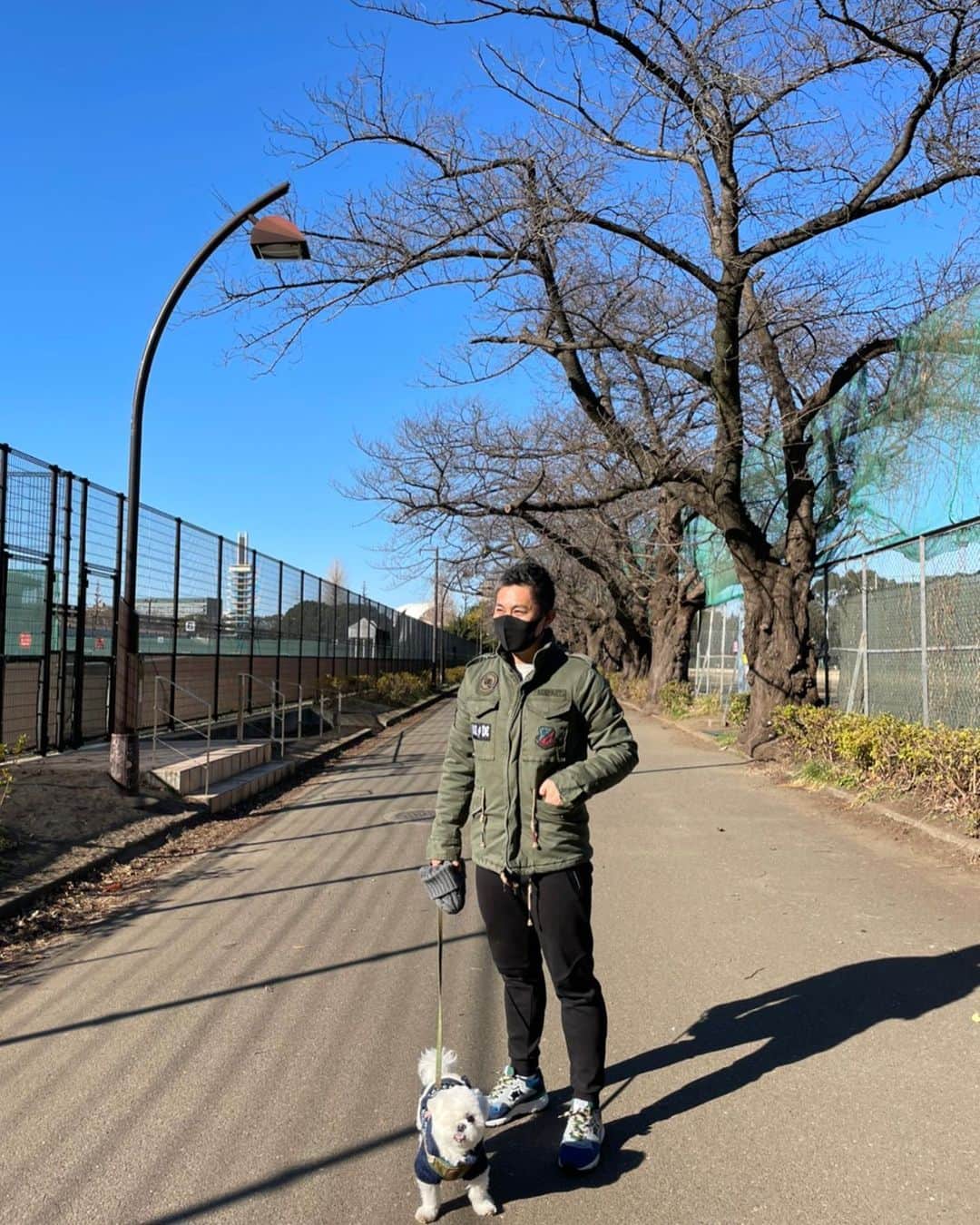 前園真聖さんのインスタグラム写真 - (前園真聖Instagram)「いい天気☀️😁 #アンジェロ #ミックス犬」1月21日 11時14分 - maezono_masakiyo
