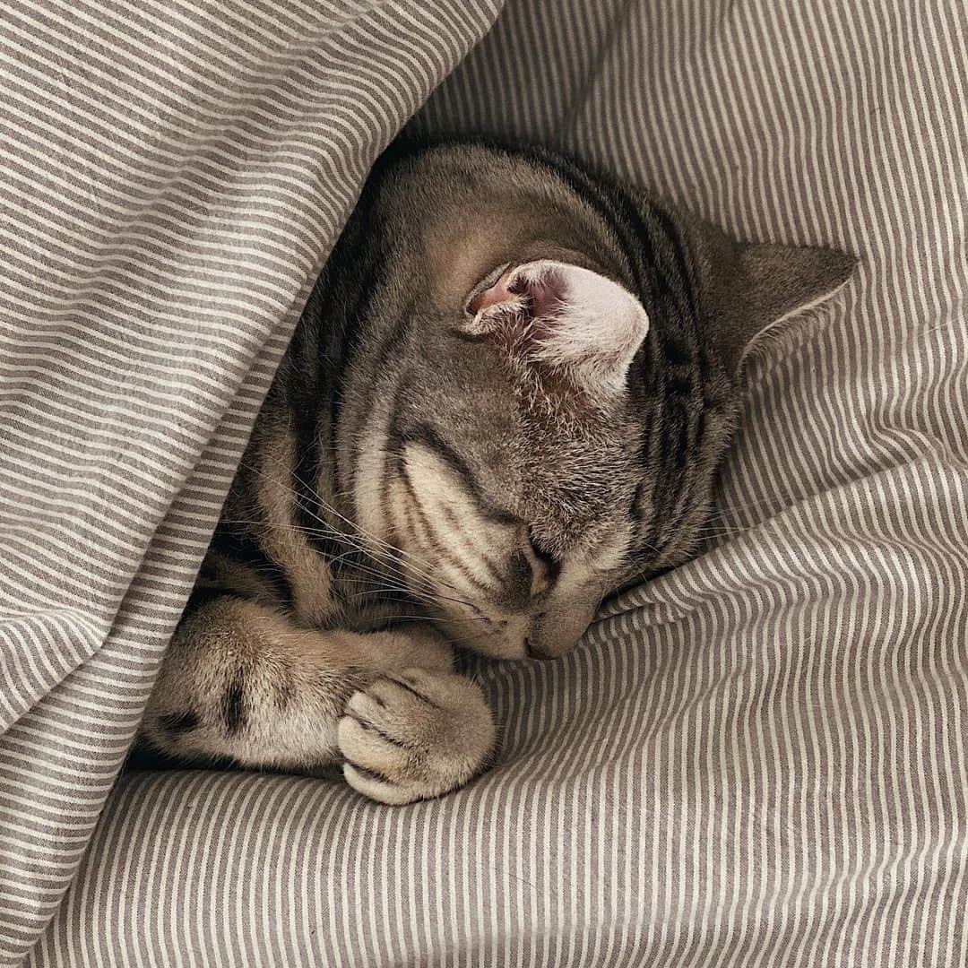 kaisakamotのグルメインスタ