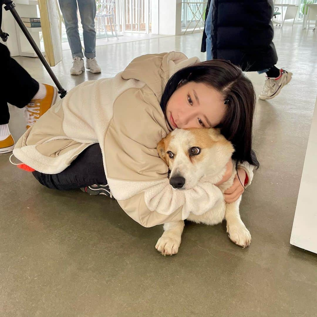 EXYさんのインスタグラム写真 - (EXYInstagram)「따듯해 댕댕이🐶🐾」1月21日 12時46分 - exy_s2