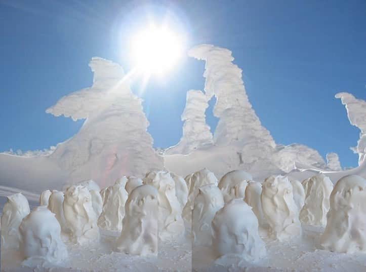 ホテルキャッスル　HOTEL CASTLEさんのインスタグラム写真 - (ホテルキャッスル　HOTEL CASTLEInstagram)「ホテルキャッスルレストラン 《パティオ》から新商品のご紹介です😋  pic.1より さぁこの中で樹氷ではない部分はどこでしょうか🤗⁉️  正解はpic.2の部分でーすw  そしてこれはなんと樹氷を模したシュークリームwww  なかなかインパクトのあるデザインです🤣  私的にはスノーボードで蔵王山頂に行くときに持っていって実際に樹氷の中で食べてみたいwww きっと寒いだろうな。。。😵❄️  蔵王と言えば樹氷（スノーモンスター）今年は雪も多いのできっと立派に成長してくれているはず🌲❄️  手土産にティータイムの話題作りにいかがでしょうか？ 2021年1月23日より1階パティオで販売です。 ◆スノーモンスターシュークリーム お持ち帰り料金　¥410税込  更に毎年ご好評を頂いている《恵方ロール》も販売中です💁‍♀️pic.3  今年の恵方は2月2日南南東❗️ 節分と言うと2月3日をイメージしますがそれもそのはず。 2月2日の節分はなんと124年ぶりなんだとか‼️  甘党の方にもお勧めの恵方ロールです🍰 2月1日までご予約受付中💁‍♀️ ◆恵方巻 お持ち帰り料金　¥1,000税込 （生クリーム・キャラメルクリームからお選び下さい）  #ホテルキャッスル山形 #新商品 #パティオ #蔵王 #zao #樹氷 #スノーモンスター #シュークリーム #山形土産 #スノーボード #スキー #節分 #恵方巻 #恵方ロール #スイーツ #sweets」1月21日 13時07分 - hotelcastle_yamagata