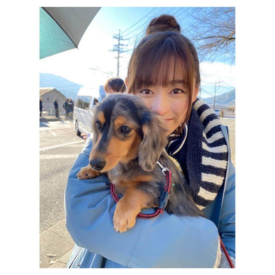 福原遥さんのインスタグラム写真 - (福原遥Instagram)「. 報告が遅くなってしまいましたが、テレビ東京で水曜深夜2:50からドラマ「#ゆるキャン 」が再放送されています！ 嬉しすぎます✨ 春から始まる「#ゆるキャン2 」の放送を楽しみに、ドラマゆるキャン△1、そしてアニメゆるキャン2も木曜23時30分からやっていますので、是非どちらも楽しんで頂けたら嬉しいです！ ちなみに私自身も、キャンプが好きなので#YouTube の方でもキャンプして来ちゃいました😏 そちらも良かったら覗いてみてください✨  ＃ゆるキャン #福原遥とふくはらはるか」1月21日 13時09分 - haruka.f.official