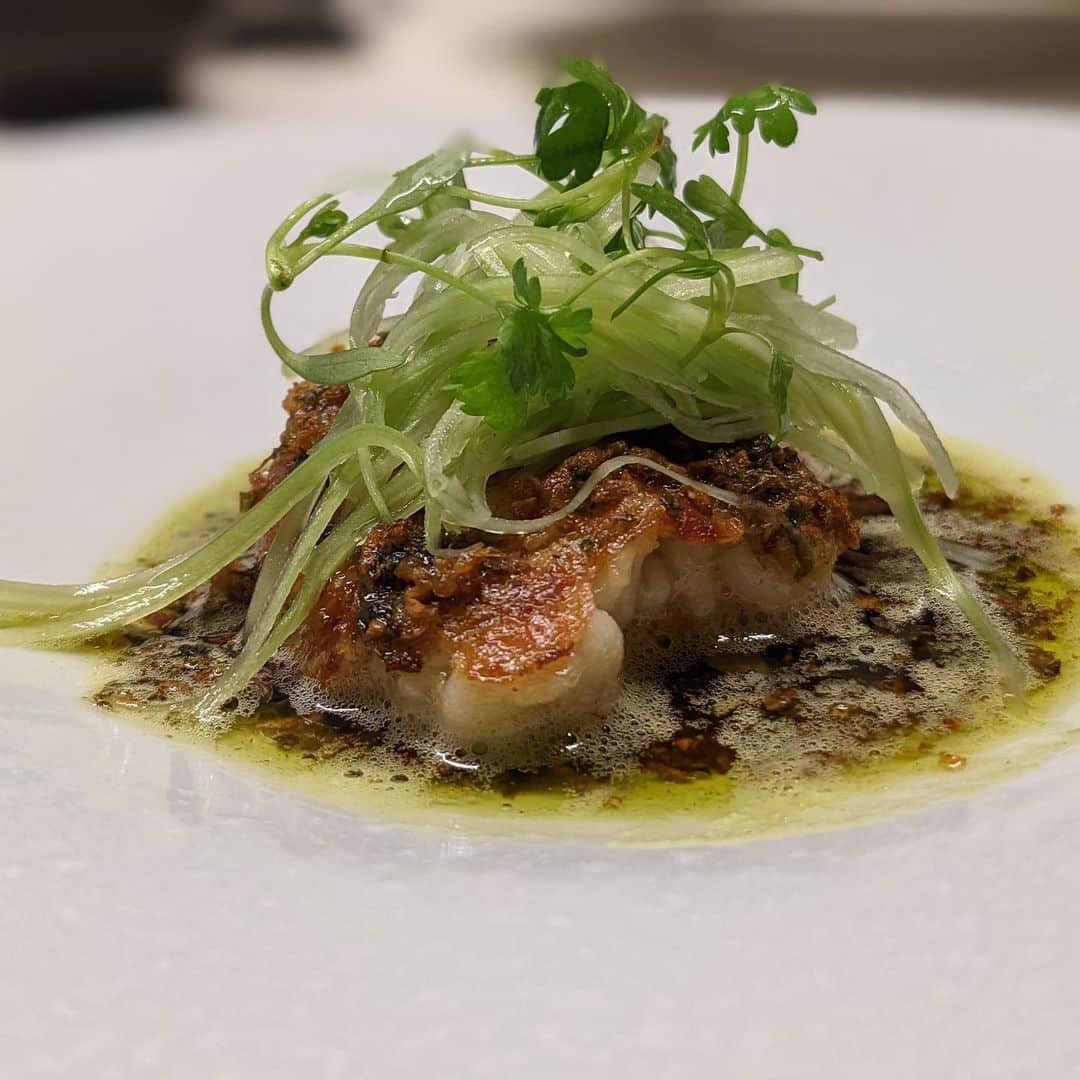 "TERIYAKI" テリヤキ編集部さんのインスタグラム写真 - ("TERIYAKI" テリヤキ編集部Instagram)「料理はもちろん、器から内装にまで自然の生命力が感じられる都内屈指のイタリアン 【TACUBO(タクボ)】📍恵比寿  自然をコンセプトにしている都内屈指のイタリアン🌿 前菜からパスタまで旬の食材を取り入れており、どれもハイクオリティで感動の嵐です。  都内でもまだ珍しい、薪窯で焼くステーキは唯一無二。 田窪シェフ曰く、いい意味で炎にムラがあるため、肉がふっくらと焼き上がるとのこと。 噛み締めるたびに口の中を支配する肉汁を是非味わって頂きたいです。  お取り寄せやテイクアウトでも楽しめるそう！この機会に至高のイタリアンを是非😋  #TACUBO #タクボ」1月21日 23時25分 - teriyaki_jp