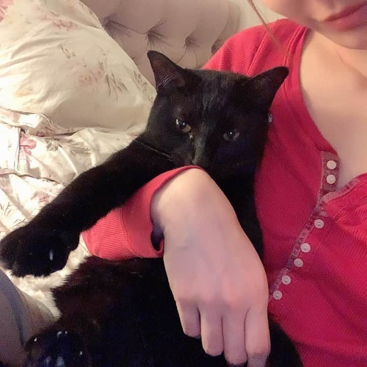 のインスタグラム：「. からだをほぐしちゅう🐈‍⬛💕😂」
