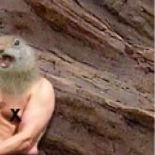BarkBoxのインスタグラム：「REPORT ME AGAIN I DARE U, KAREN 🐿🌰🥜」