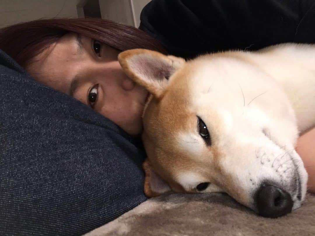 高橋みゆきのインスタグラム：「おやすみ〜🐶💕💤 #クラ吉　#心坊が寝て静かになるとクラ吉も爆睡」