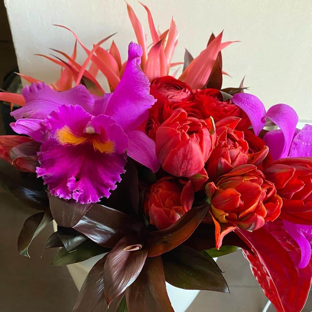 YUKI TAKESHIMAさんのインスタグラム写真 - (YUKI TAKESHIMAInstagram)「昨夜は、ラキャルプの新井ミホさんからフーガの素敵な花束のBDP💐 ピンクと赤色はパワフルカラー✨👍 思いがけないプレゼントで嬉しいなぁ🥰  この時期旬の宮城県のセリ鍋は根っこの部分も捨てずに頂きます🙏🥰 @mihoarai0527  @fuga_tokyo  @eimmy_emiko  #お花が元気をくれる #誕生日プレゼント  #セリ鍋  #宮城のせりは旨い」1月22日 0時03分 - yukimake