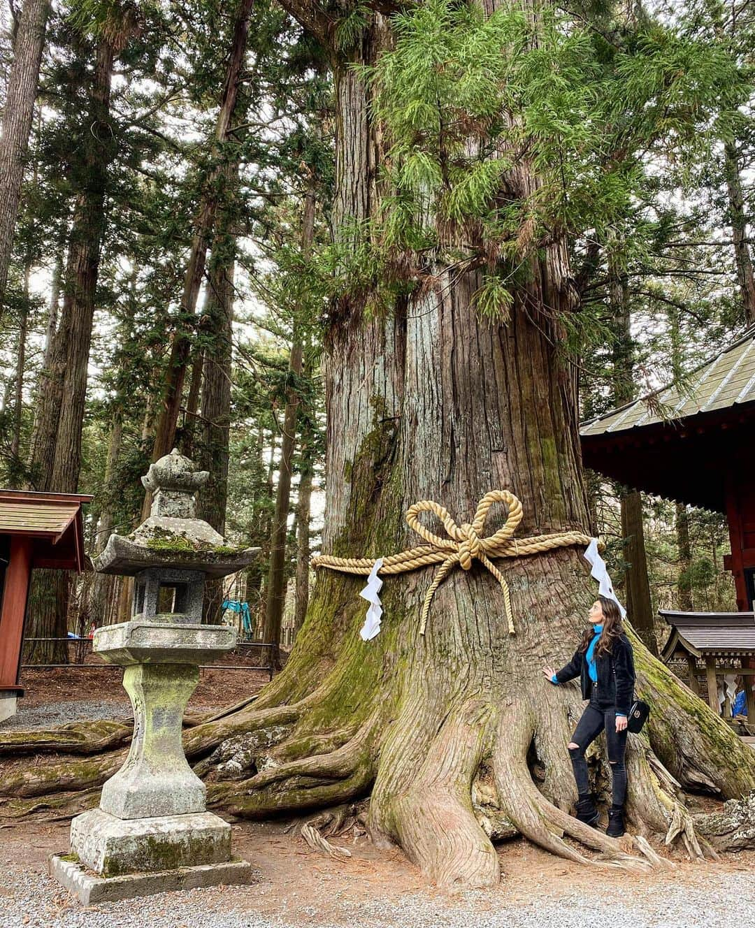 カシアのインスタグラム：「Não tenho como descrever a energia boa que senti nesse local. Energias renovadas. * * * #boasenergias #natureza #puraenergia #energiapositiva #japan #日本 #パワースポット」