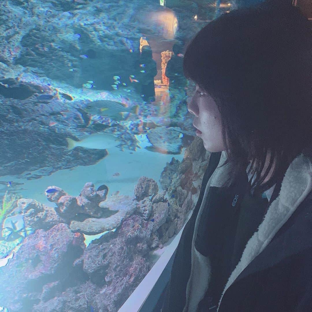 原舞歌さんのインスタグラム写真 - (原舞歌Instagram)「久しぶりに水族館に行きたいなーーー ほとんどどの水槽にもいるお掃除してるエビとか、ちっちゃい魚を見に行きたいんですよね いつも一生懸命お掃除してて偉いよね🦐🐠  #水族館  #コロナが早く終息しますように」1月21日 15時33分 - h_maika_ta