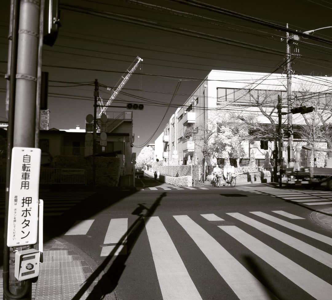 大鋸一正のインスタグラム：「赤外線的交差点。」