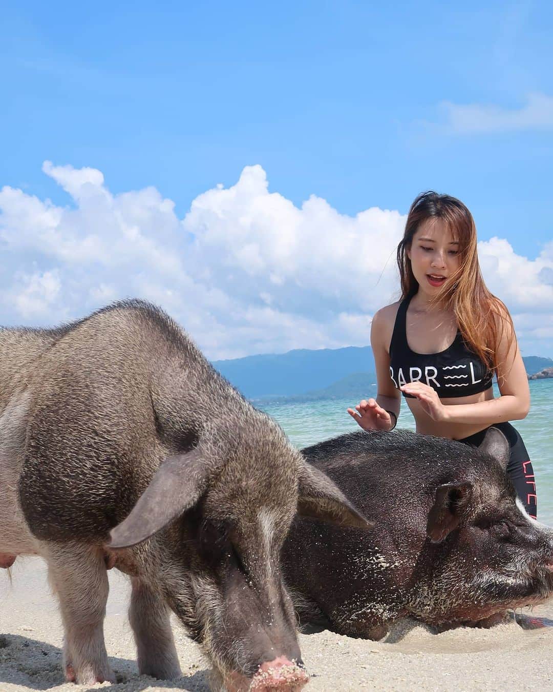 ビーム先生のインスタグラム：「🐷🐷🐷  #influencer #blogger #youtuber #thai #thaigirl #japan #日本　#タイ　#インフルエンサー　#ブロガー　#ユーチューバー　#外国人　#訪日外国人　#タイ人　#タイ語　#บล็อกเกอร์ #ยูทูปเบอร์ #ไทย #ญี่ปุ่น #ภาษาญี่ปุ่น #เกาะสมุย #สมุย #เกาะมัดสุม #เกาะหมู #samui #samuiisland #サムイ島」