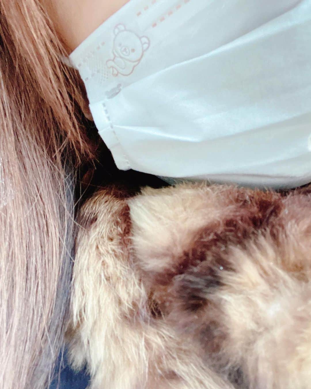倉田雅世のインスタグラム：「昼間はあったかかったのに、急に冷え込んできましたね。 みなさま、あったかくしてね。 マスクはリラックマ不織布マスク。」
