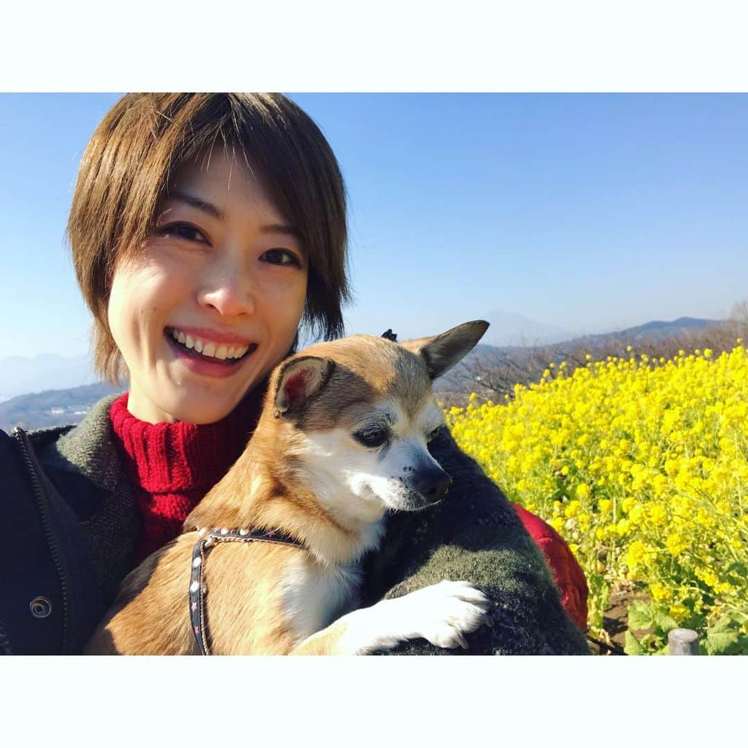 如月蓮さんのインスタグラム写真 - (如月蓮Instagram)「.﻿ 菜の花と海と、﻿ 「アイスどう？」﻿ .﻿ .﻿ .﻿ #太陽浴びると元気になるね﻿ #こむぎ﻿ #如月蓮﻿ #RENスタグラム」1月21日 16時53分 - kisaragi.ren2