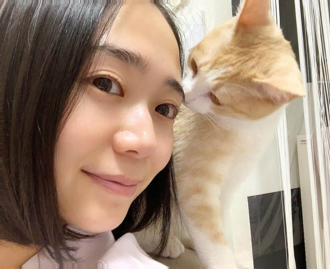 緑川静香のインスタグラム：「自撮りをまったく撮らないから写真がないない😂﻿ ﻿ 撮らねば！と思った時にはもうスッピン。笑﻿ ﻿ でもチャイがチューしてくれたからいいんだ🥰笑﻿ ﻿ あなたにいつも癒されております💕﻿ ﻿ #猫のいる暮らし #保護猫  #スッピンさん #そしてパジャマw #最近寝るのが早い #健康的で #お肌の調子だけはいい  #睡眠大事ね」