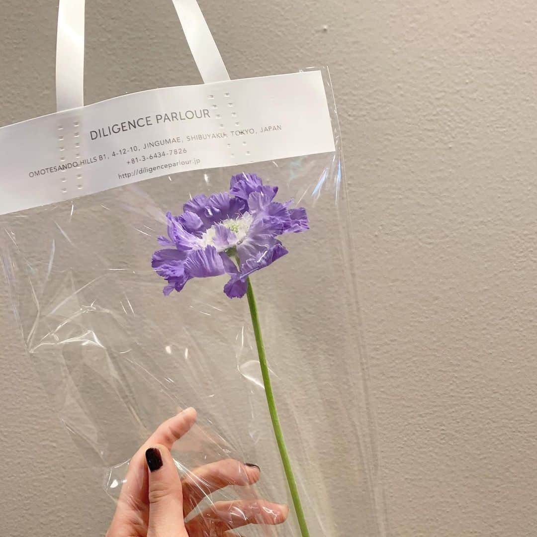 岩間妃南子さんのインスタグラム写真 - (岩間妃南子Instagram)「誕生日で友達がくれたお花、紫選んでくれたの、、、、さすが、、、！！！」1月21日 18時43分 - hinako.1116