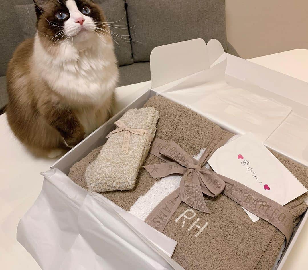 國嶋絢香のインスタグラム：「♡♡♡ 大好きな色紙さんから「トレまる3年間お疲れさま💓」ってことで素敵すぎるプレゼントが届きました🥺🎁✨ さっそくシェリ子も興味津々です✌🏽  東京⇄大阪と離れてるけど、こうやっていつまでたっても気にかけてくれる所がたまらんです。。  3枚目は、色紙さんがトレまるを卒業された時のもの💐✨ 2018年の年末ですね😳懐かしいなぁ😳  早く何も気にせずゆっくり会えますように🙏🏽  #love」