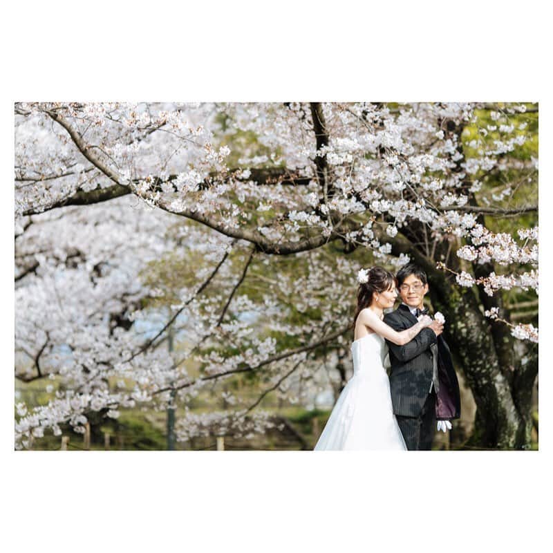 ラヴィファクトリー福岡店さんのインスタグラム写真 - (ラヴィファクトリー福岡店Instagram)「· · 🌸 Sakura 🌸 · ご予約承ります！ · 人気の時期になりますので お早めのご相談がおすすめです😌✨ · #photoby_yoheiyamaguchi #laviefactory #laviefactoryfukuoka #ラヴィファクトリー #ラヴィファクトリー福岡 #生きる写真 #ハートのある写真 #前撮り #結婚式 #結婚式準備  #洋装前撮り  #和装前撮り #フォトレイト #ウェディングニュース #プラコレ  #ウェディングフォト #weddingphoto #wedding #プレ花嫁応援し隊 #ウェディングソムリエ #2021春婚 #2021夏婚 #ロケーション撮影 #スタジオ前撮り #卒花嫁さんと繋がりたい #プレ花嫁さんと繋がりたい #プレ花嫁 #ファインダー越しの私の世界 #写真好きな人と繋がりたい」1月21日 19時48分 - fukuoka_laviephotography