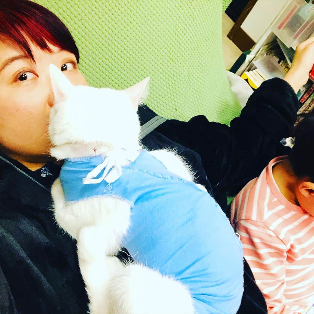 水谷さるころのインスタグラム：「うちの猫、なんかキャラメルホップコーンみたいな匂いがするんだよなぁ…この距離だと…。」