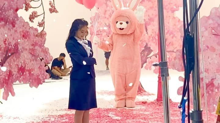 株式会社コンテンツ3のインスタグラム：「.﻿ 頑張れ！今田くん﻿ ﻿ ピンクのうさぎと今田くん﻿ ﻿ ﻿ #今田美桜 #今田くん﻿ #AOKI #新CM」