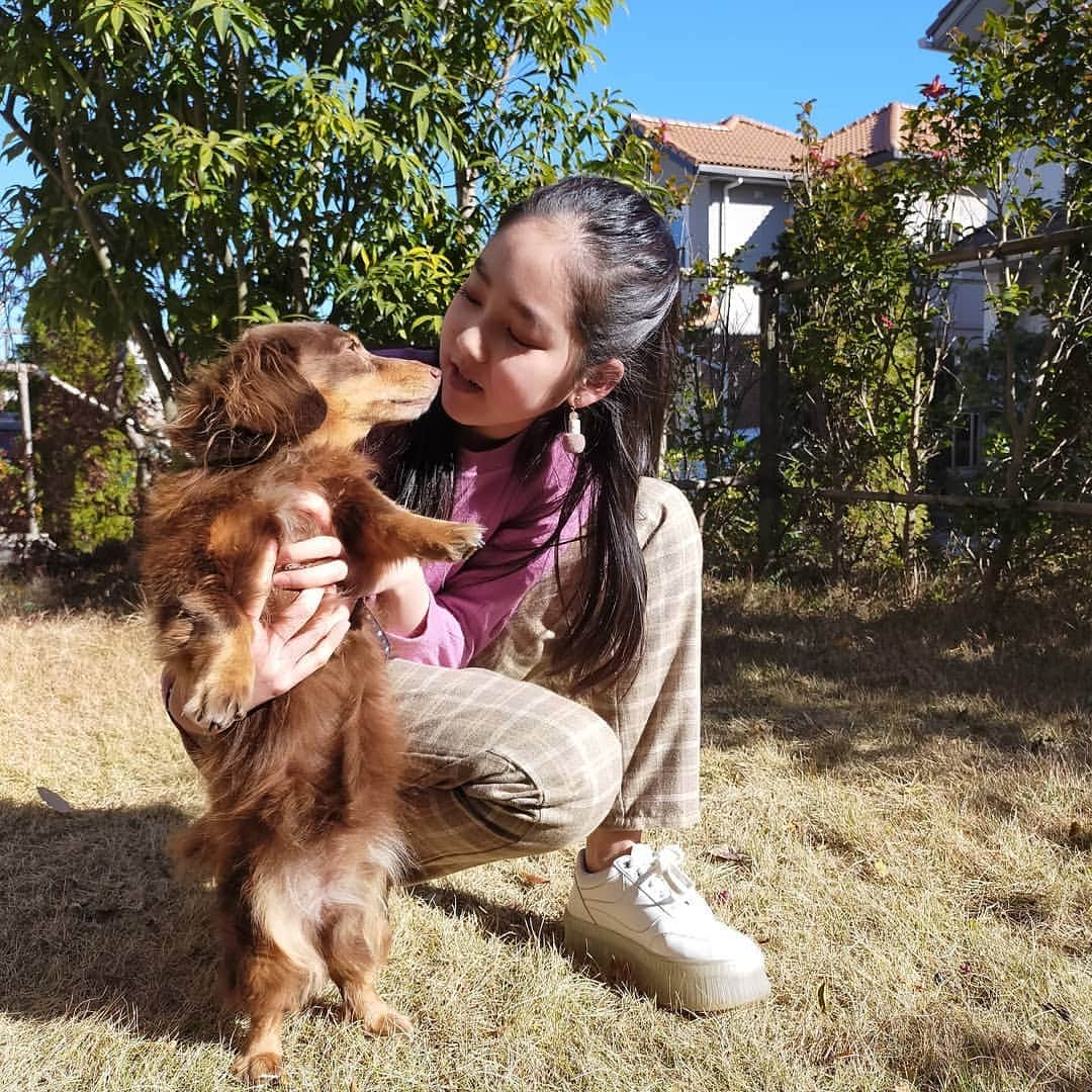 山下萌亜さんのインスタグラム写真 - (山下萌亜Instagram)「. My dog!! モカちゃん〜♡ . . 最近、寒すぎて朝布団からなかなか出れない、、、😓😱🛏️ . . #ミニチュアダックスフンド#ダックスフンド#ダックス#犬好き#犬好きな人と繋がりたい#犬バカ部#犬のいる暮らし#犬バカ倶楽部#犬のいる生活#犬#dog#laylalayla」1月21日 20時20分 - _8_7__moa