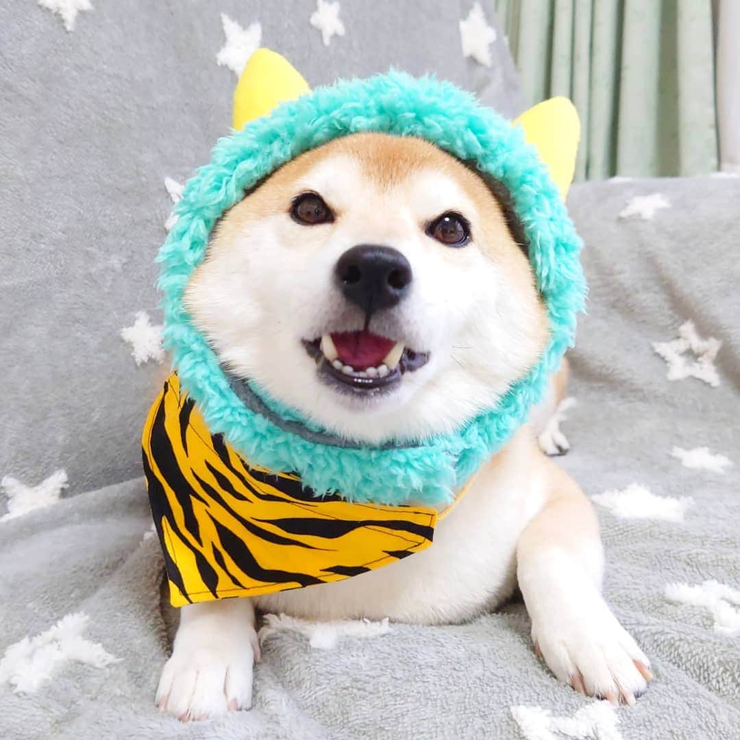 ちゃみのインスタグラム