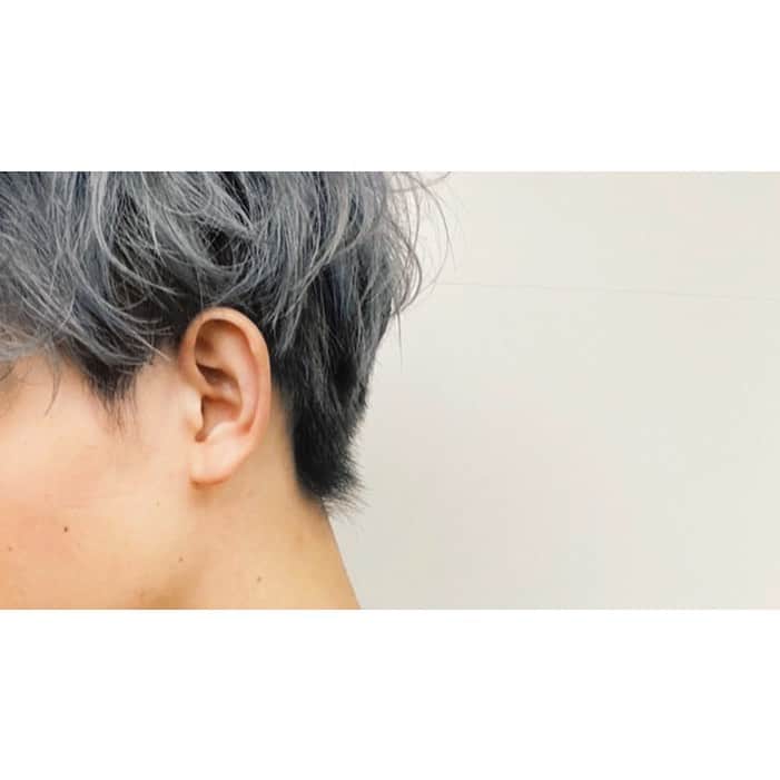 veticaのインスタグラム：「▼ vetica guest hair▼  今流行りの髪型も、シルバーグラデーションカラーで個性を出して⛄️🌿  hair 高木　@takaotakagi   #vetica #tokyo #harajuku #ladies #beauty #hair #cut #color #bleach #　#お客様ヘア」