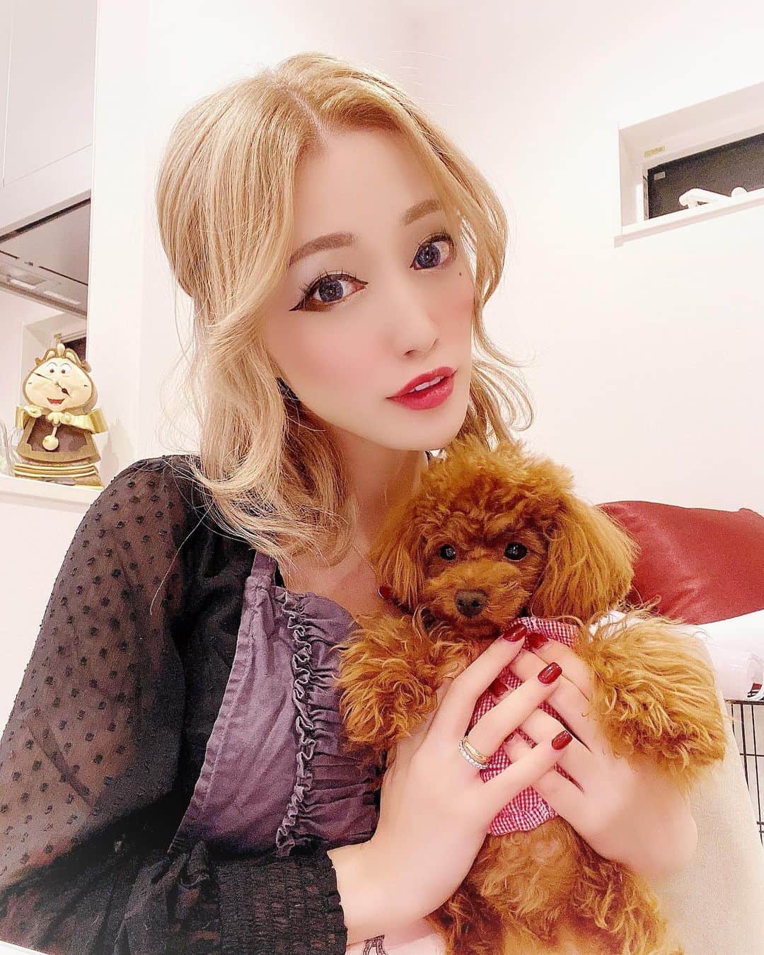 のインスタグラム：「. アンク @ankhcross_official でスーパーイメチェンしました🥰  赤髪ロングはしばらくお休み。 大好きだけど、お腹が大きくなってきてこれから出産するにあたり、....メンテや日々の時間割を考えて地毛にしました😌💕  でも金髪も大好き！  ———salon———  アンククロス池袋北口店　 @ankhcross_ikebukuro_north   担当💕山崎亘輝くん @kouki_95_1107   #ankhcross #ankh #アンク　#アンククロス　#金髪　#金髪ボブ　#イメチェン　#blond #bob #blondbob #teacuppoodle #poodle #toypoodle #tinypoodle #ティーカッププードル　#プードル　#といぷー　#トイプードル　#タイニープードル　#シェリーメイ　#shelliemay #hairstyle #haircolor #haircut #hairarrange #ヘアカラー　#ヘアカット　#ハーフアップ　#ブロンド　#maternity」