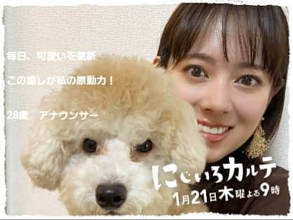 広島ホームテレビ「HOME NEXT neo」さんのインスタグラム写真 - (広島ホームテレビ「HOME NEXT neo」Instagram)「可愛さって同じじゃない。 毎日違うんですよ。。💕  #あなたのぼやきをちょいエモポスターに #ポスターメーカー #ドラマの内容とは関係ありません  #にじいろカルテ は今夜まもなくスタート！！ 笑って泣けるチーム医療ドラマ🏥 毎週木曜よる9時放送です📺✨  #テレビ朝日 #ドラマ  #高畑充希 #北村匠海 #井浦新 #広島ホームテレビ #アナウンサー #八木美佐子」1月21日 20時43分 - home.announcers