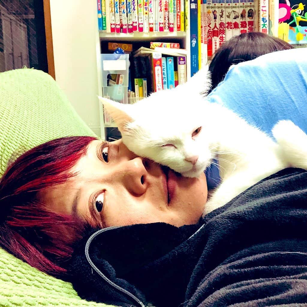 水谷さるころのインスタグラム：「この状況で、スマホをいじる事しかできずひたすら猫に圧迫される写真を投稿してしまうのだった…。　#おファルにゃん」