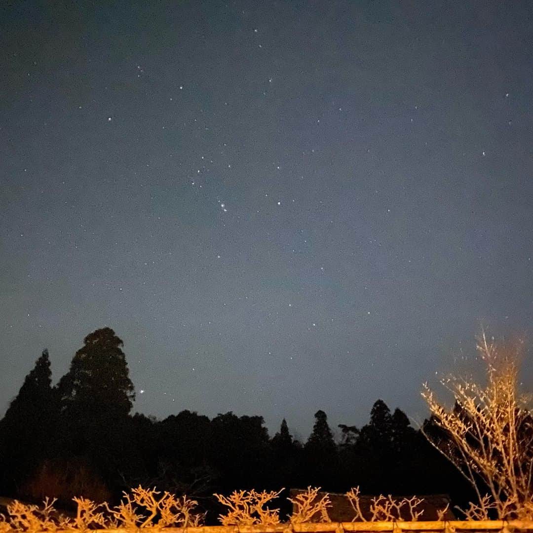 一保堂茶舗さんのインスタグラム写真 - (一保堂茶舗Instagram)「Such a beautiful starry sky.   @dorakugama  #mie #pottery #ippodotea #ippodo #night #starrynight」1月21日 20時50分 - ippodotea