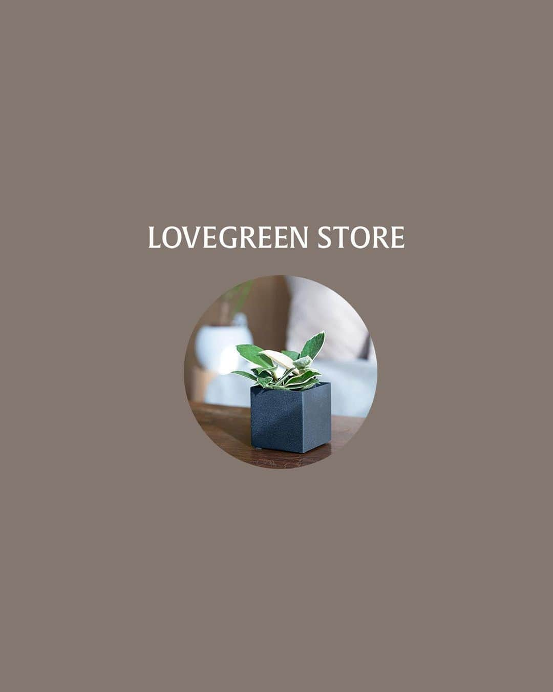 LOVEGREEN -植物と暮らしを豊かに。さんのインスタグラム写真 - (LOVEGREEN -植物と暮らしを豊かに。Instagram)「どんな植物もお部屋に調和させてくれる鉢カバー  【クッカ】  植物は有機的。 自然にしか生み出せない形、模様、ラインがとても素敵ですよね  植物好きにセンスがいい人が多いのも、植物をみて感性を磨いてるからなのかも？なんて思ったりします。  人間には作れないものだからこそ１鉢でも存在感があって、お部屋のインテリアとしてとっても優秀。  そんな植物の鉢カバーに直線的なインダストリアルなものを使ってみるのはどうでしょう？  お部屋って直線的なものが意外に多い。 なので複雑な形の植物ほど直線的な鉢カバーに入れてあげることで、うまくお部屋になじませてあげられるかもしれませんよ♪  色もシンプルにホワイト・グレー・ブラックの３色。 どんな植物もしっかり映えて、どんな部屋にも調和します。 １つでも、３つ並べて飾ってあげてもインテリアとして成立するので、お部屋に植物を置いてみたいけど部屋に合うかわからない…ってお悩みの方におすすめです！  鉢カバーなので買ってきたプラポットをそのままポンと入れるだけ。 おしゃれにインテリアグリーンを初めてみたい方はぜひチェックしてみてください♪  #植物とインテリア #インテリアグッズ #インテリアグリーン #インテリアグリーンのある暮らし #インドアグリーン #インドアグリーンのある暮らし #interiorgreen #indoorplants #鉢カバー #インテリアコーディネート #植物と暮らしを豊かに #lovegreen #lovegreenstore」1月21日 21時04分 - lovegreen_official