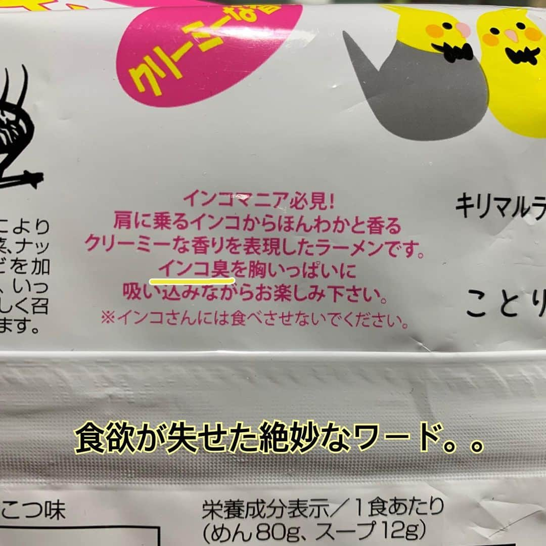 江口ともみさんのインスタグラム写真 - (江口ともみInstagram)「全国ご当地ラーメン 皆さん知ってるのありますか？！  オカメインコチームは2つのインスタントラーメンがやはり気になる  おかちゃんルイヴィトンの箱の上で謎のゴージャス感を出す演出らしい。。  こちらとんこつ味との事だけどインコ臭イメージだからか、薄めとんこつでした😅そして最後のラーメンの画像。トッピングにナッツなど添えると良いとあったので、なんとなくヘンプシードやフラックスシードなどかけてみたら、まさに鳥の餌乗せてるみたいに😅更に味がなんか変だと思ったら、冷凍してあった小松菜乗せたつもりが間違えて野沢菜の漬物解凍して乗せてました😅  とんこつに高菜の漬物乗せたりするけどこれはちょっと違った。。。  #fumofumosan #フモフモさん  #ちーく #全国ご当地ラーメン #キリマルラーメン #とんこつ味 #ことりカフェコラボラーメン」1月21日 21時06分 - tomomin.eguchi