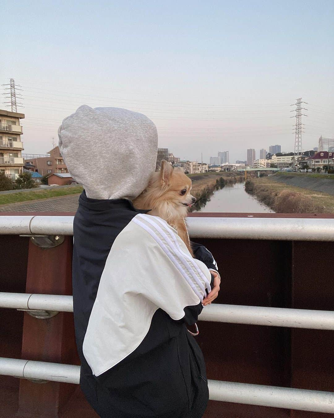 重盛さと美さんのインスタグラム写真 - (重盛さと美Instagram)「🐕🌞✨✨  ママがちゃんとウイルスカットできてかわいいマスク😷 送ってくれた🙏🌼 @d.masque #dmasque #ディーマスク」1月21日 21時19分 - satomi_shigemori