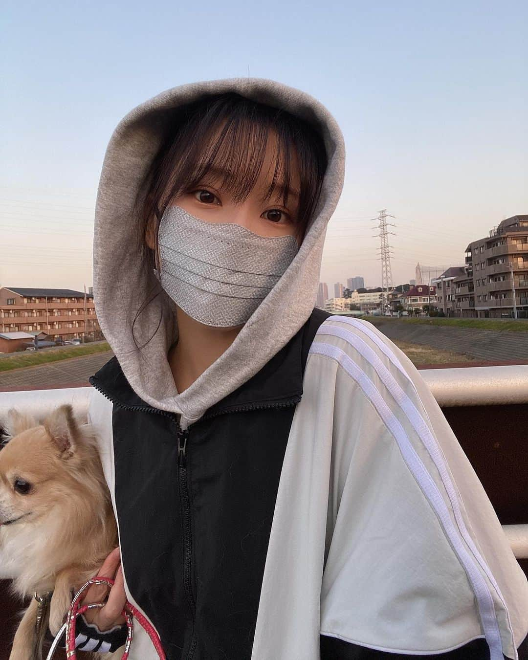 重盛さと美さんのインスタグラム写真 - (重盛さと美Instagram)「🐕🌞✨✨  ママがちゃんとウイルスカットできてかわいいマスク😷 送ってくれた🙏🌼 @d.masque #dmasque #ディーマスク」1月21日 21時19分 - satomi_shigemori