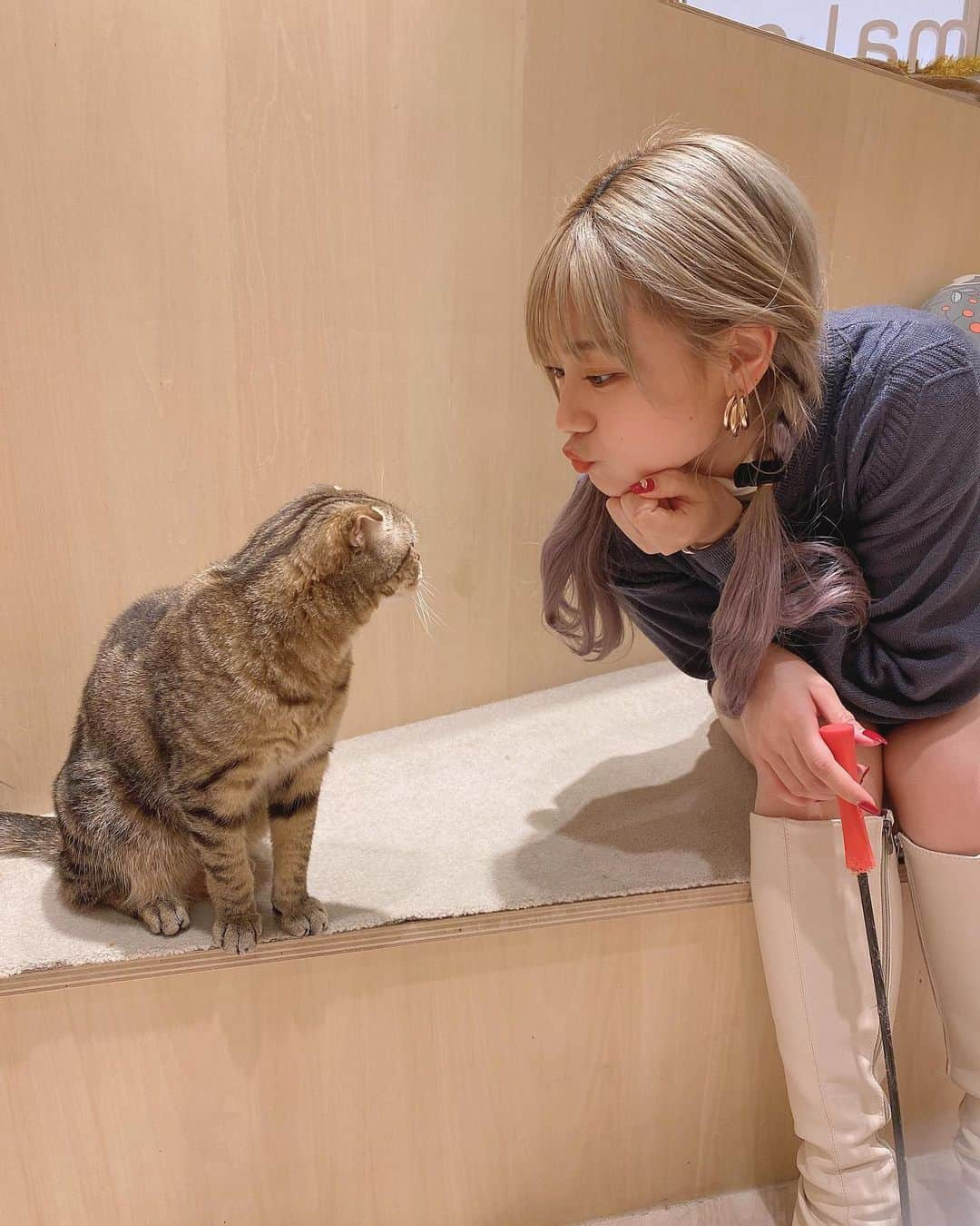 古澤里紗さんのインスタグラム写真 - (古澤里紗Instagram)「一生片想い、、、💔 . . こなあいだ、ELENAに行ってきましたっ！🌟 月一のりさの癒しの時間😌🤍 . #猫カフェ」1月21日 22時00分 - fuuuuu_ri