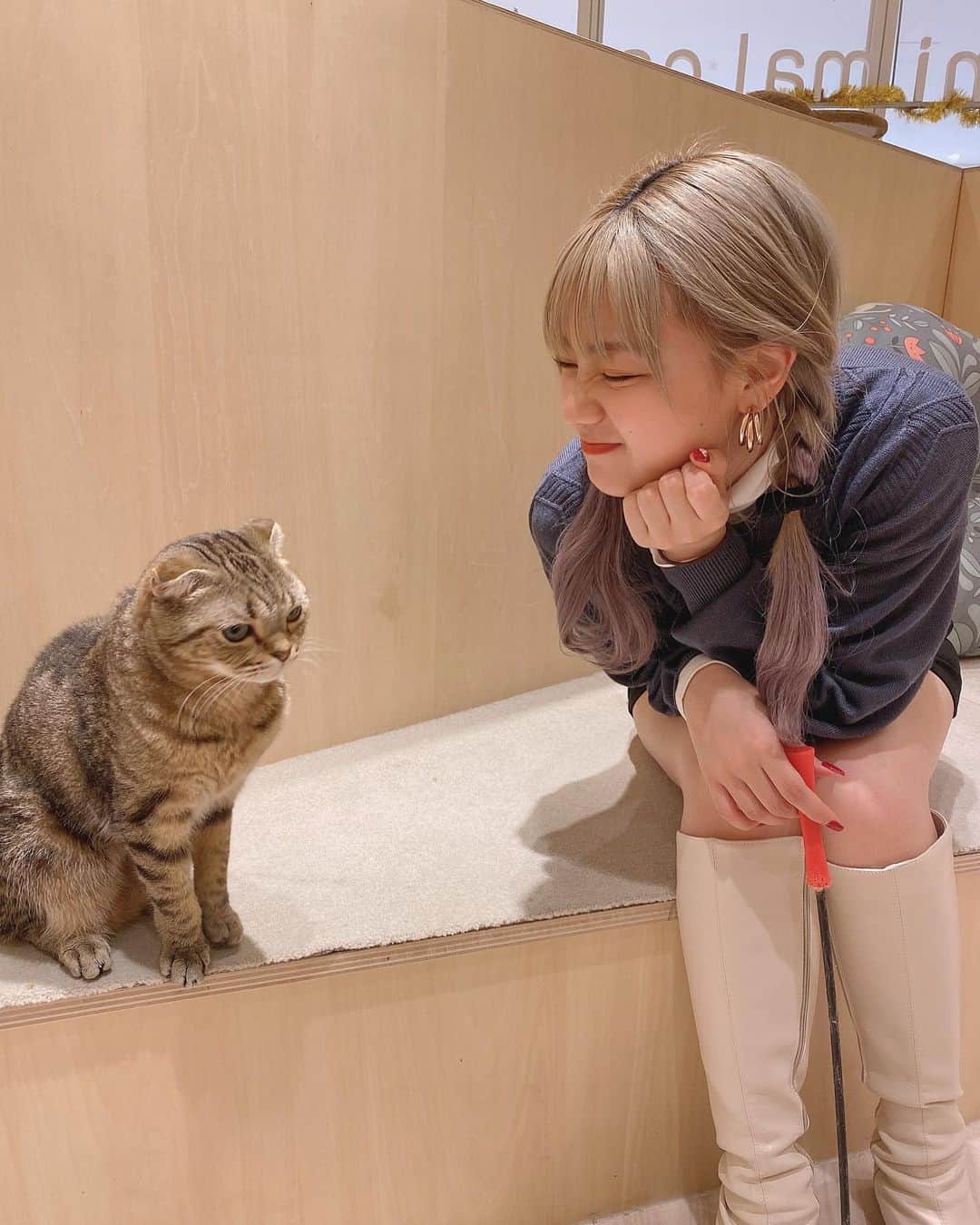 古澤里紗さんのインスタグラム写真 - (古澤里紗Instagram)「一生片想い、、、💔 . . こなあいだ、ELENAに行ってきましたっ！🌟 月一のりさの癒しの時間😌🤍 . #猫カフェ」1月21日 22時00分 - fuuuuu_ri