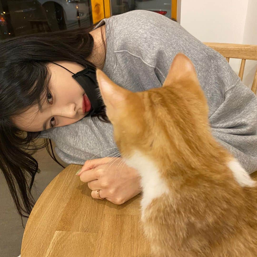 ナム・スミンさんのインスタグラム写真 - (ナム・スミンInstagram)「얘는 호빵이도 아니고 수일이도 아니고 수필이🐱 코빨간 고양이 수필이🍓 초면에 안겨서 골골송 부르면서 자는 유니콘냥이,,,, 테이블에 엎드렸는데 자기가 비집고 들어와서 자는,,,, 귀여워서 지구 다 뿌수고 싶은 수필이,,」1月21日 22時18分 - suminzz