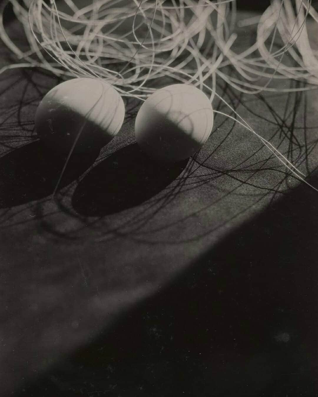 テート・ギャラリーさんのインスタグラム写真 - (テート・ギャラリーInstagram)「#ArtWords: Coined by artist Laszlo Moholy-Nagy, 'The New Vision' was a photography movement which developed in the 1920s, directly related to the principles of the #Bauhaus. ​ ​Following the first mechanized conflict of the First World War, artists began to reclaim the mechanisms of image-making. The 1920s and 30s were an experimental time for photography, where unconventional techniques such as abstract photograms, photomontages and combinations of photography and graphic design suddenly flourished. ​Moholy-Nagy coined the expression 'The New Vision', stating that photographic techniques could capture the outside world in a way that the human eye could not.   With close ties to the Bauhaus, The New Vision aimed to look at the world through the camera lens, using it as a mirror to the reality of the everyday, and also a framing device for the documentary and experimental. Japanese photographer Iwao Yamawaki, a student at the Bauhaus School, incorporated the structural lines of modernist architecture into his photography, implementing strong effects of light and shadow, and close-ups that zoom in on a single texture or repeated motif. ​ Above are four photographic examples by Yamawaki, captured between 1930 and 1932: Untitled (Composition with eggs and string, Bauhaus); Untitled (Composition with bricks, Bauhaus); Set of Bowls and Untitled (Modernist architecture).」1月21日 22時18分 - tate