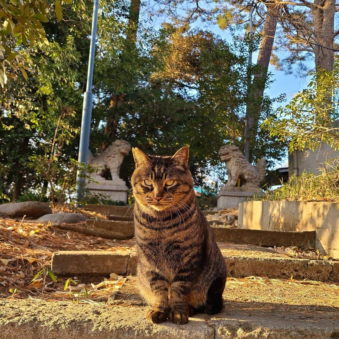 三宅裕子のインスタグラム